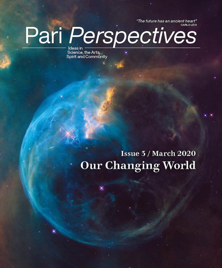 Cover for Pari Perspectives 3: Our Changing World