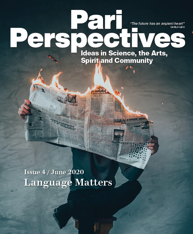 Cover for Pari Perspectives 4: Language Matters