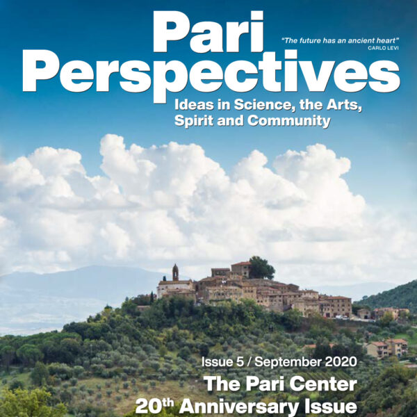Pari Perspectives 5: The Pari Center’s 20th Anniversary Issue - Print Edition