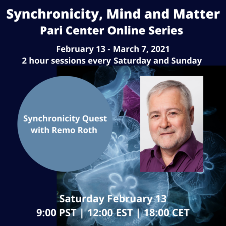 Synchronicity Quest with Remo Roth