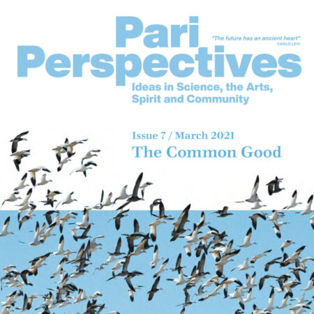 Pari Perspectives 7: The Common Good - Print Edition