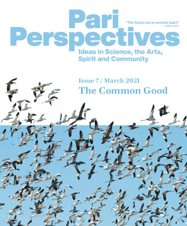 Cover for Pari Perspectives 7: The Common Good