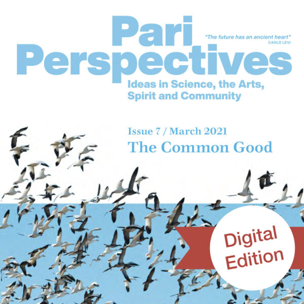 Pari Perspectives 7: The Common Good - Digital Edition