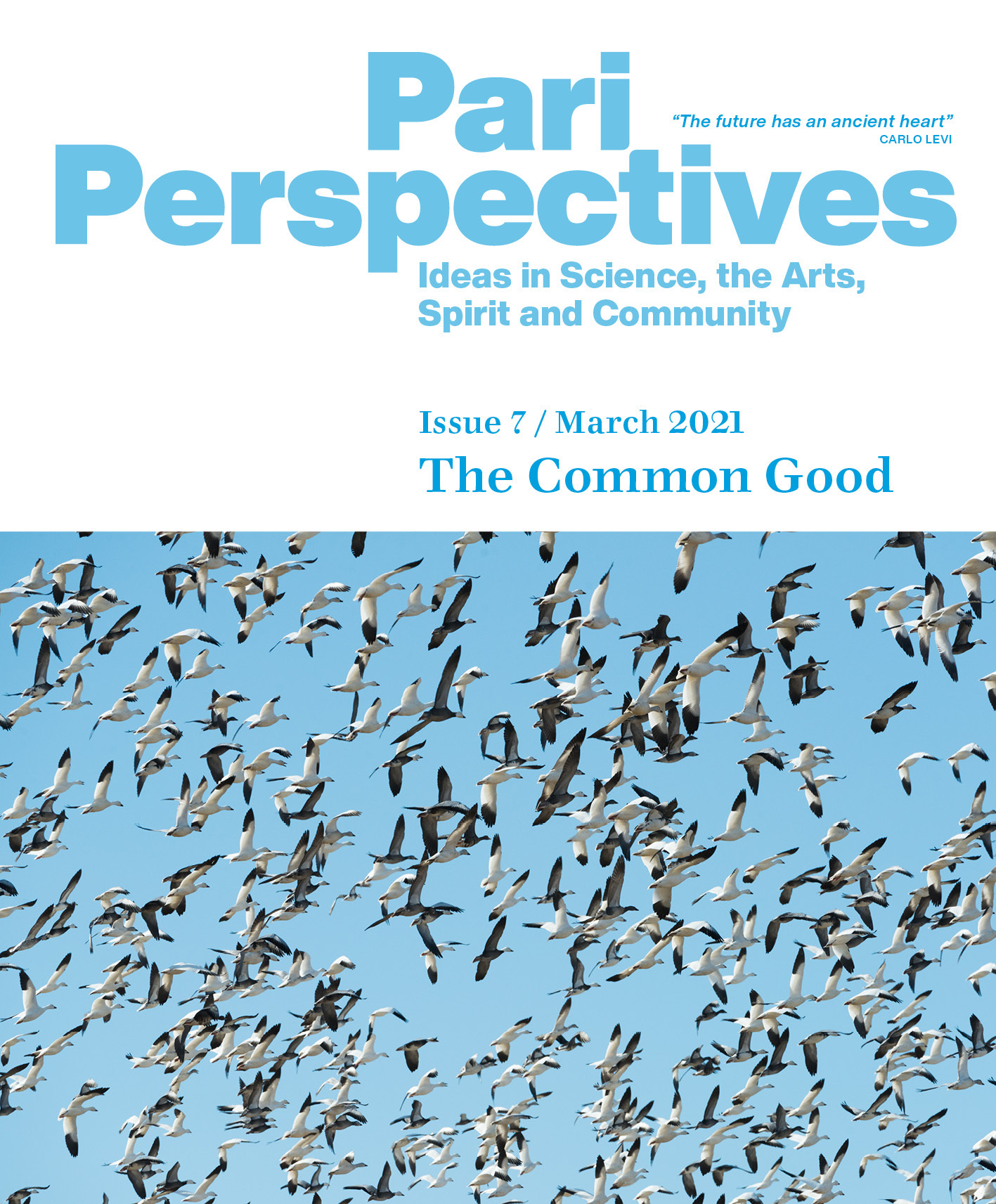 Cover for Pari Perspectives 7: The Common Good