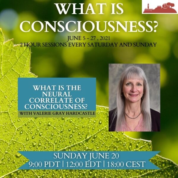 What Is the Neural Correlate of Consciousness? - The Pari Center