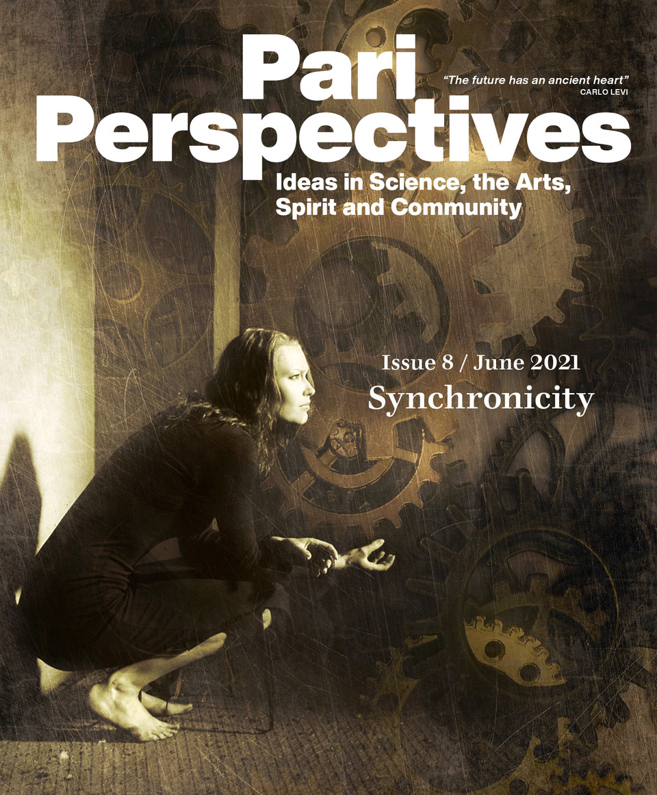 Cover for Pari Perspectives 8: Synchronicity