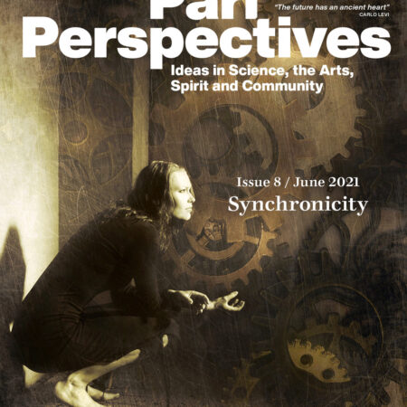 Pari Perspectives 8: Synchronicity - Print Edition