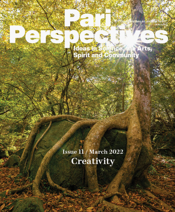 Cover for Pari Perspectives 11: Creativity