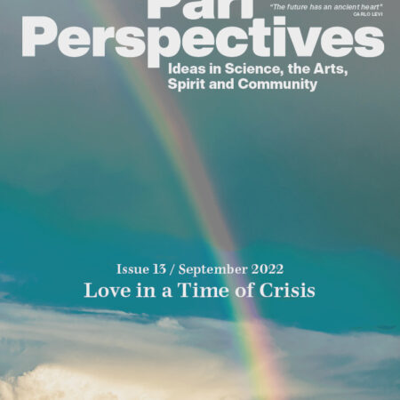 Cover for Pari Perspectives 13 - Love in a Time of Crisis
