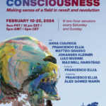 Poster for the Pari Center's Theories of Consciousness series