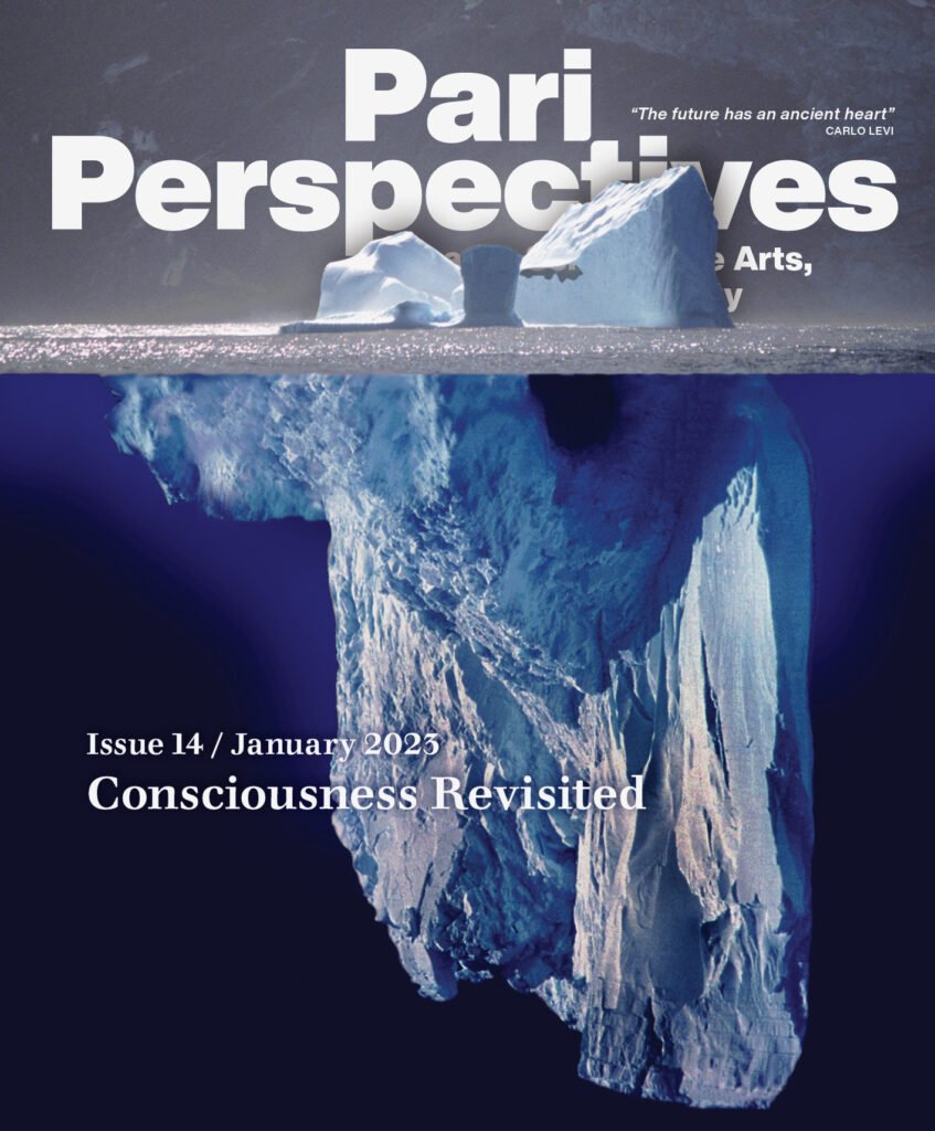 Cover for Pari Perspectives 14 - Consciousness Revisited