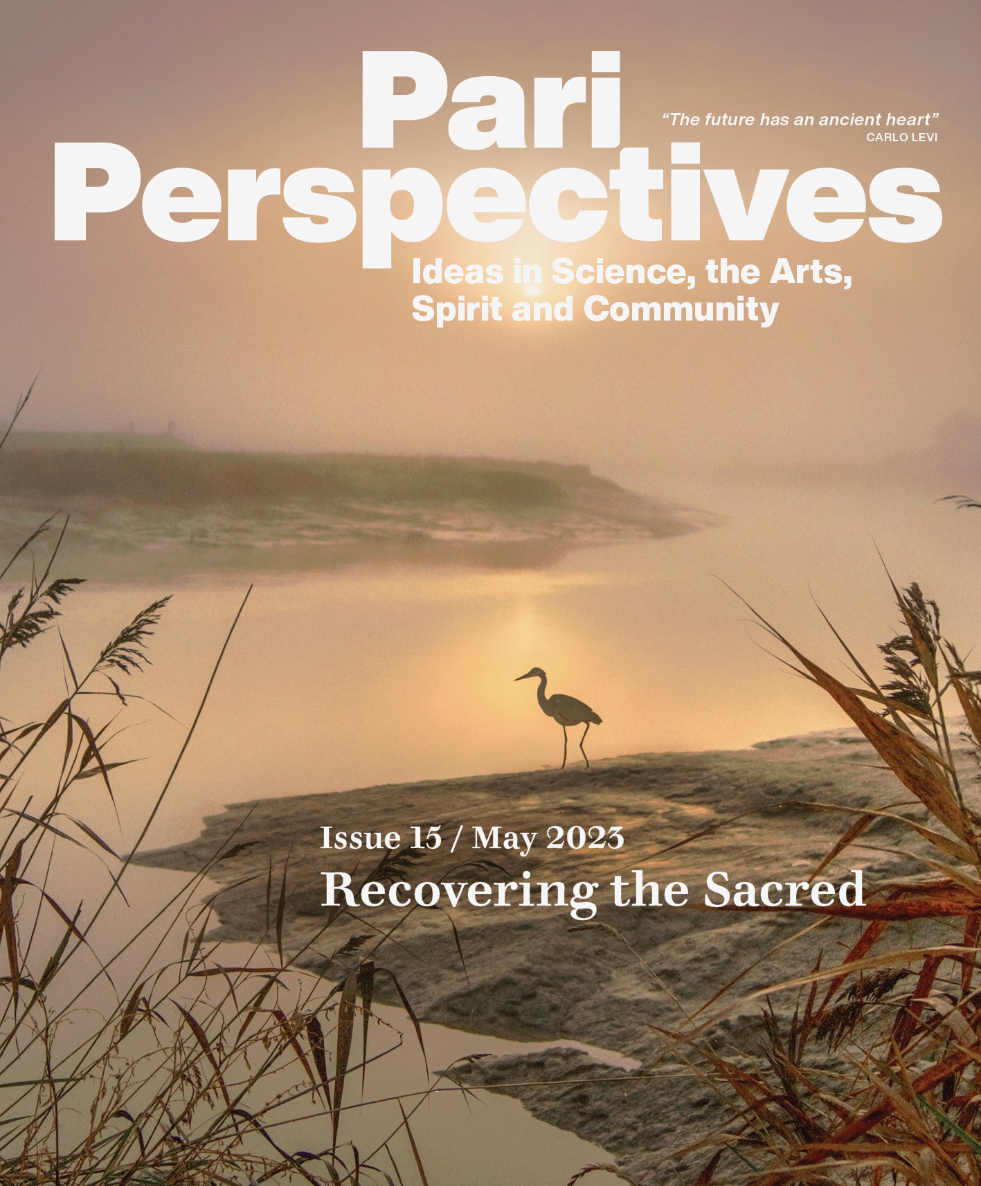 Cover for Pari Perspectives 15 - Recovering the Sacred