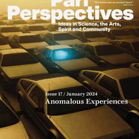 Pari Perspectives 17: Anomalous Experiences - Digital Edition
