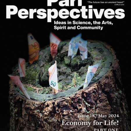 Cover for Pari Perspectives 18 - Economy for Life!