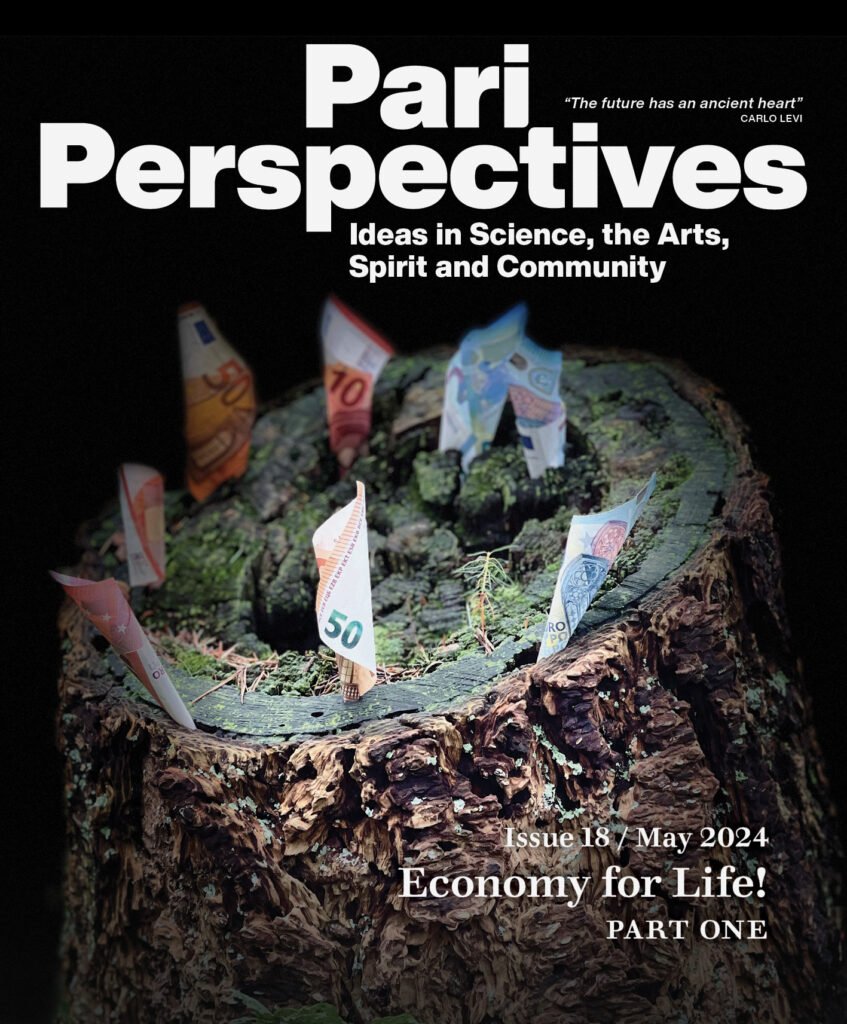 Cover for Pari Perspectives 18 - Economy for Life!