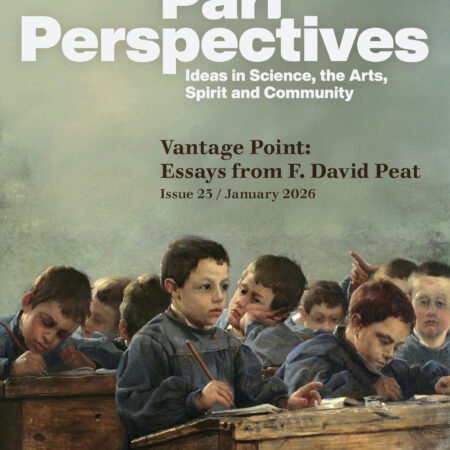 Pari Perspectives 23: Vantage Point,  Essays from F. David Peat – Digital Edition