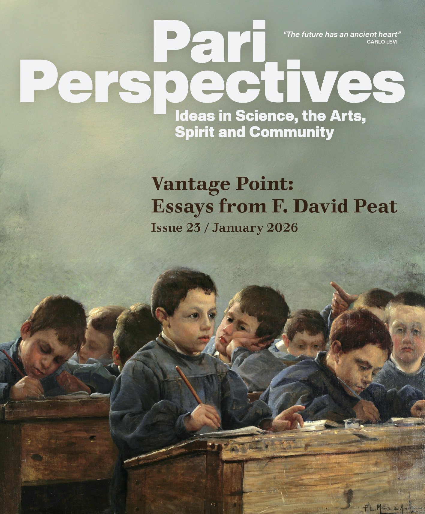 Vantage Point: Essays from F. David Peat