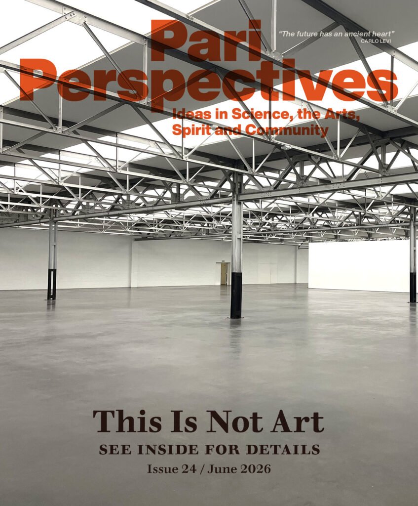 Pari Perspectives 24: This is not Art – Digital Edition